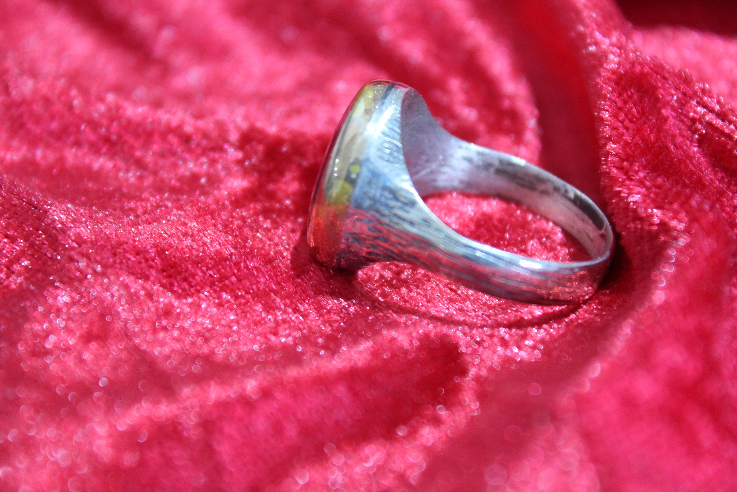 IMG_4543